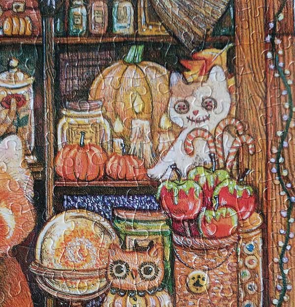 Pintoo Coon Magic House Jigsaw Puzzle