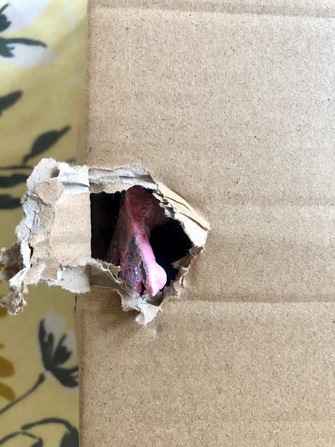 Photos showing a cast iron figure pigeon coming out of a cardboard box