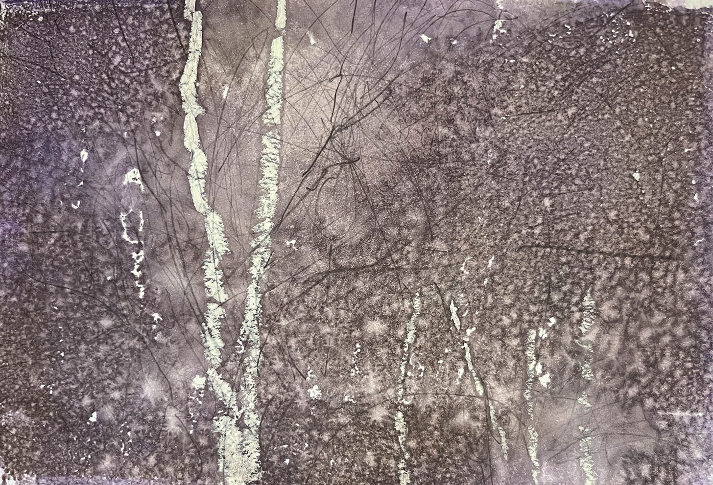 Monotype print of a silver birch tree in acrylic and oil pastel; artwork by Michela Griffith