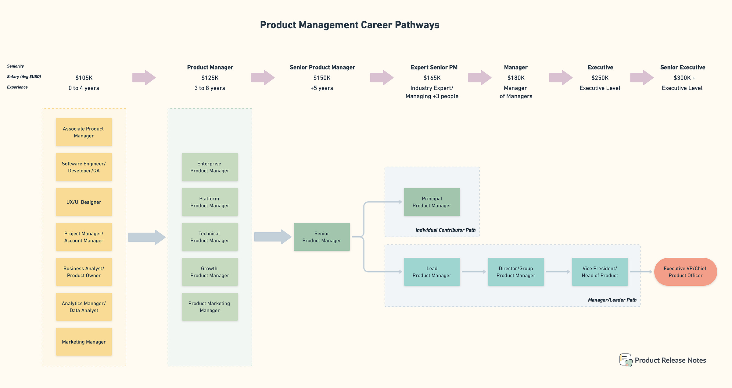 Typical career pathways in Product Management by Product Release Notes Typical career pathways in Product Management by Product Release Notes