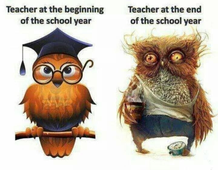 Teacher, before and after the school year : r/Teachers