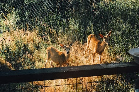 Tyler Knott Gregson Fuji photographs of life in Montana