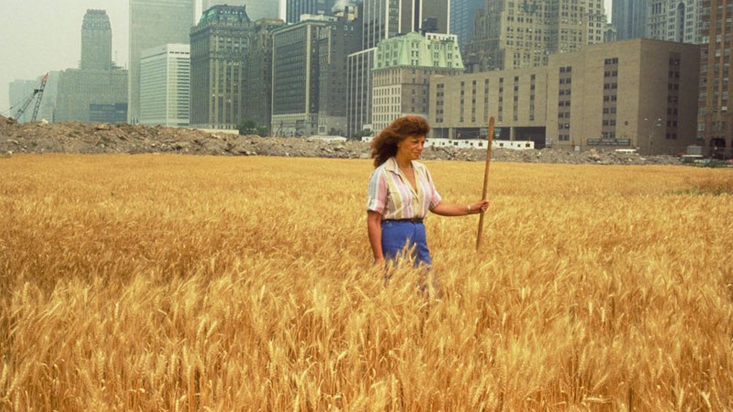 a woman in a field