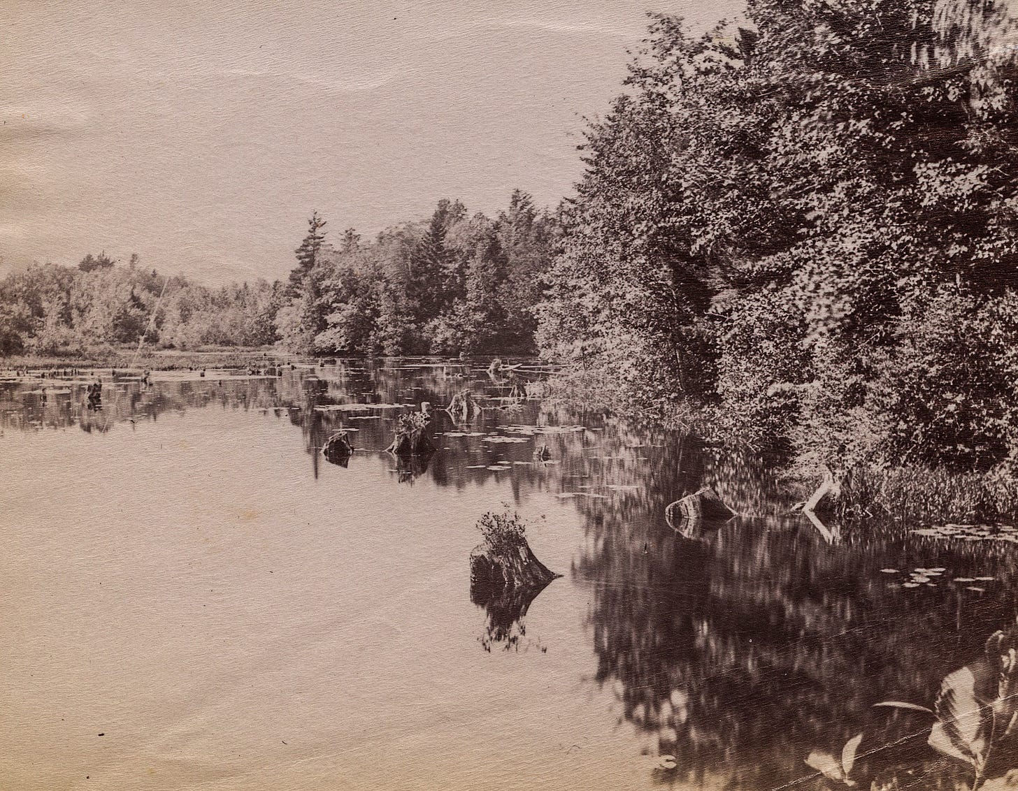 Taylor Pond