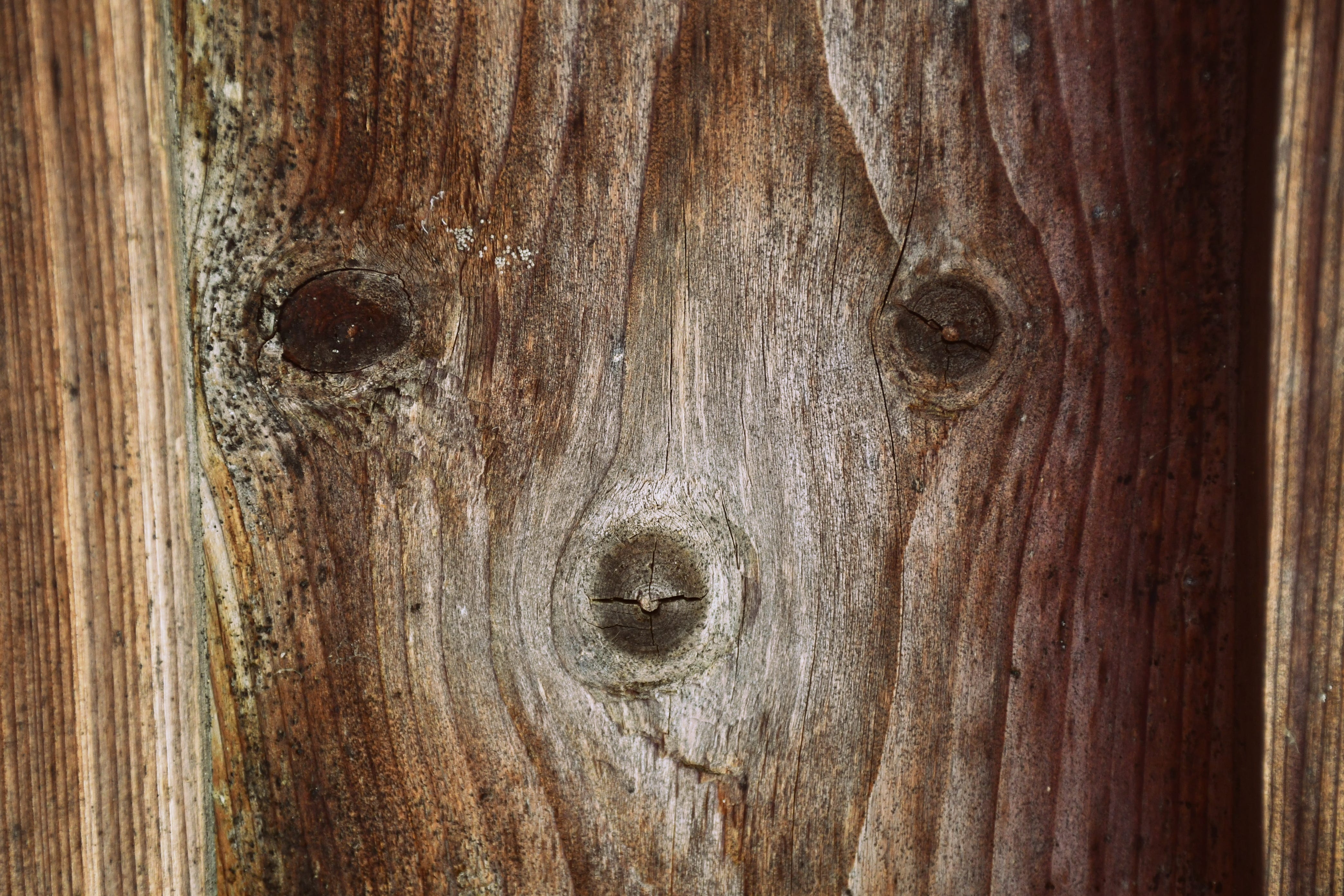 Earth Gratitude Studio