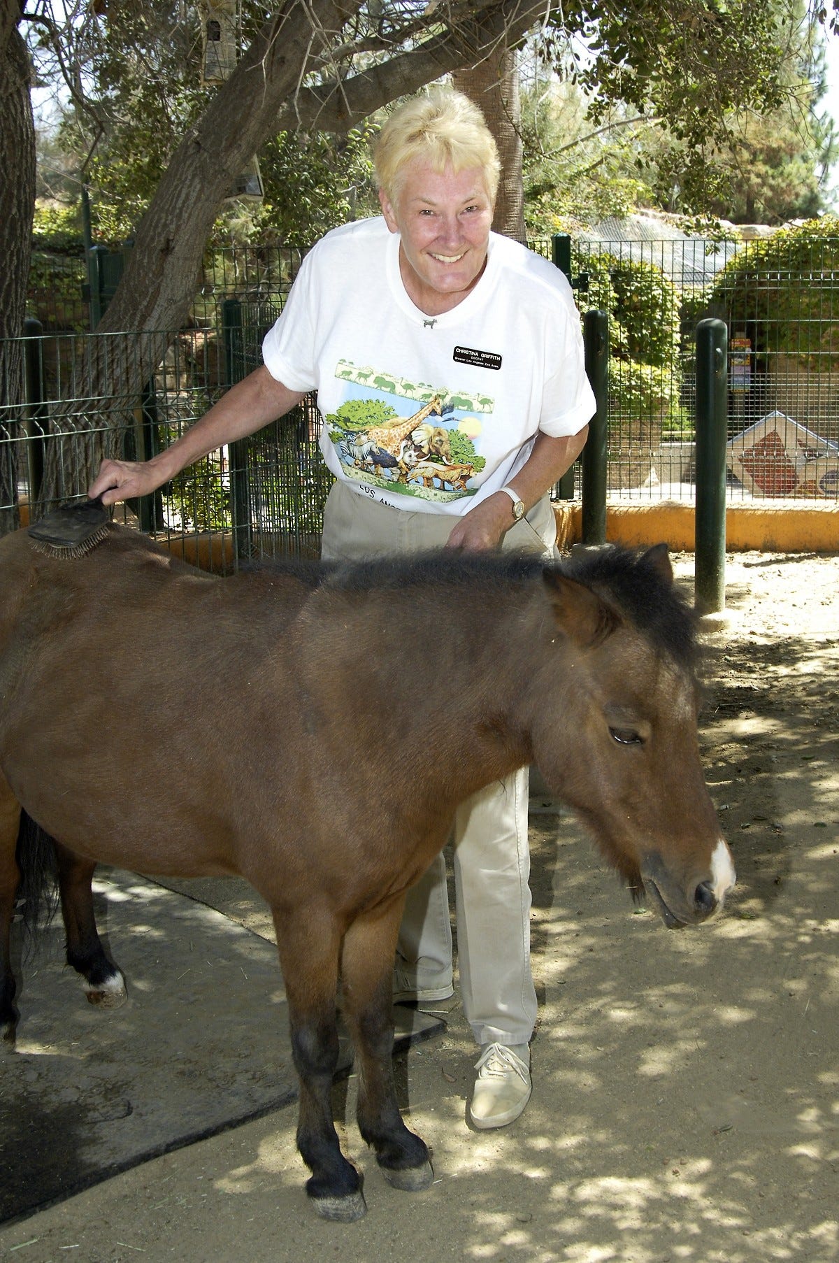 get-ataaaatachmssssent.aspx