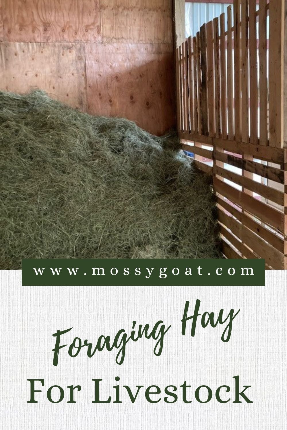 foraging hay for livestock pinterest pin for homesteaders foraging hay for livestock pinterest pin for homesteaders