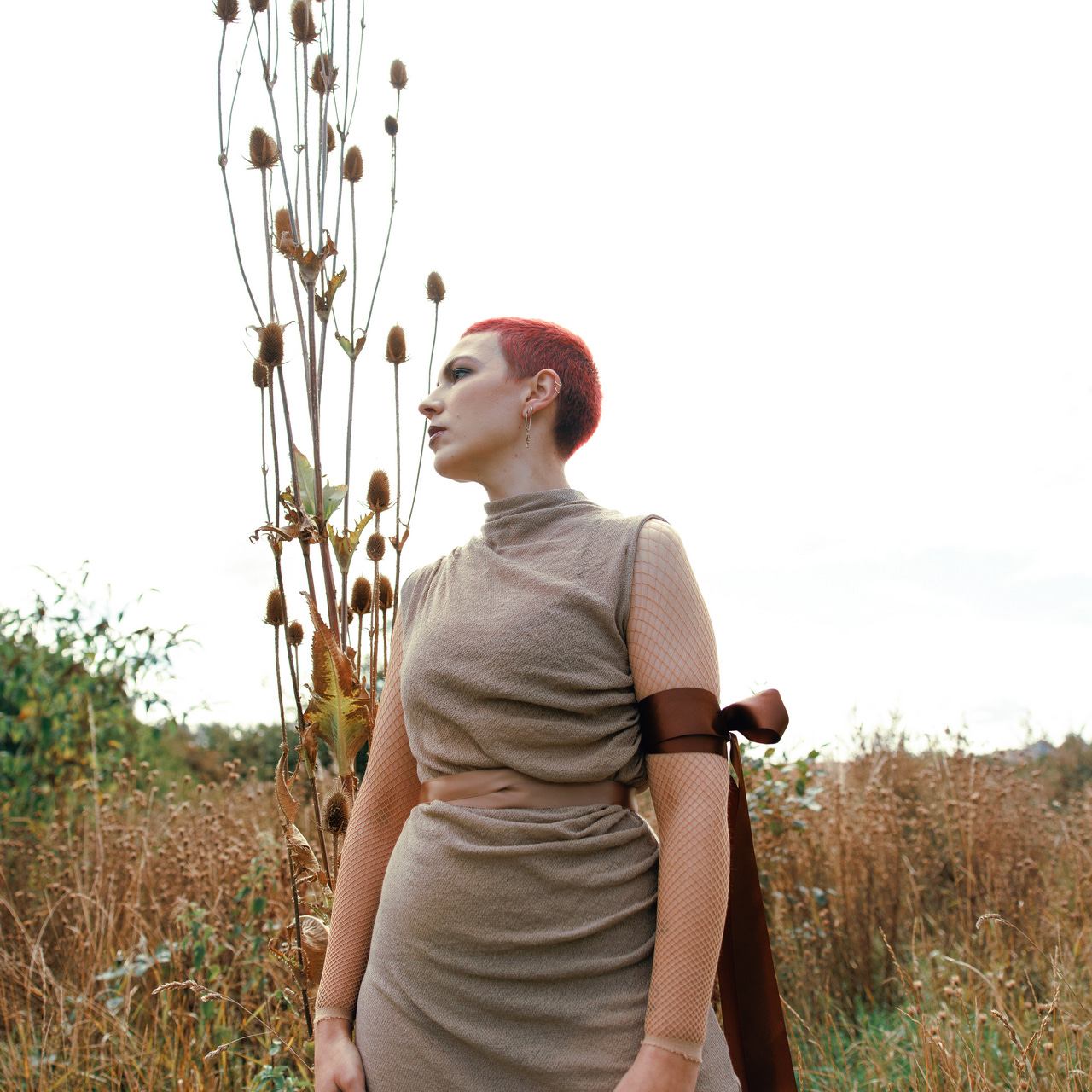 Drum & Lace field notes