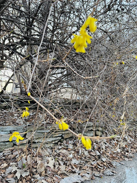 boring day to day photos