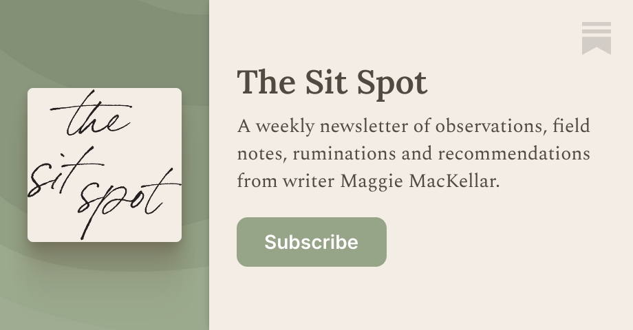 Antidotes - by Maggie Mackellar - The Sit Spot