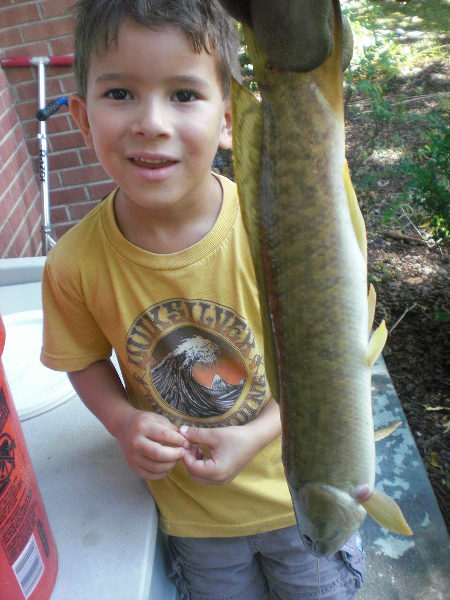 No photo description available.