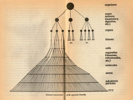Schematic representation of the orgamismic hierarchy (Koestler 1979) Schematic representation of the orgamismic hierarchy (Koestler 1979)