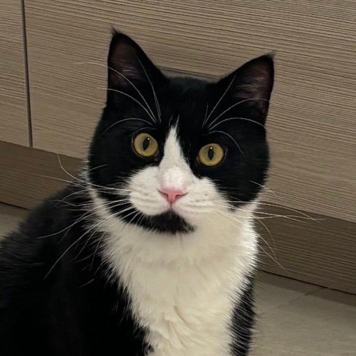 A gallery of four close-cropped photos of Benny's face from images within the post.