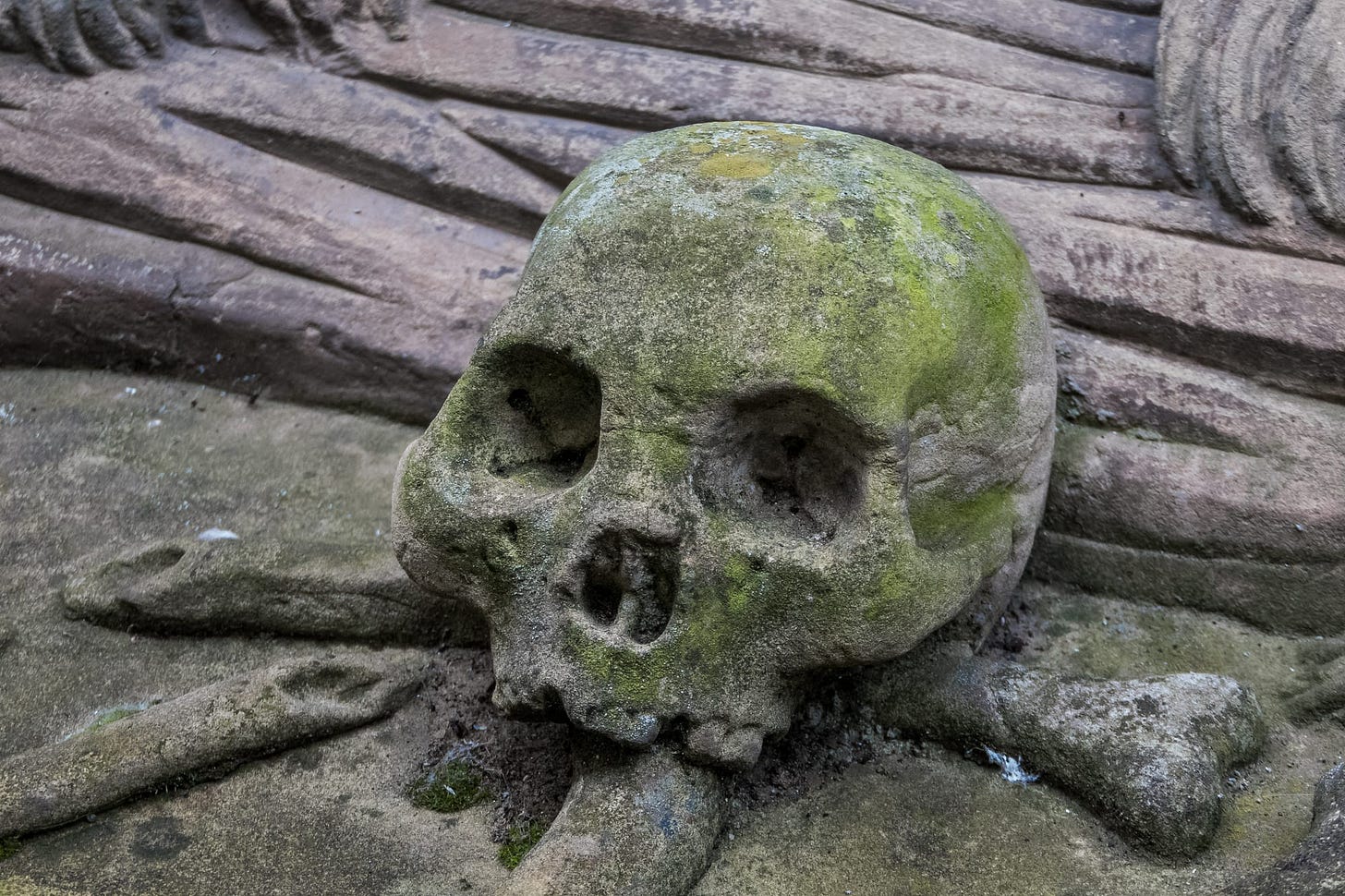 human skull in stone