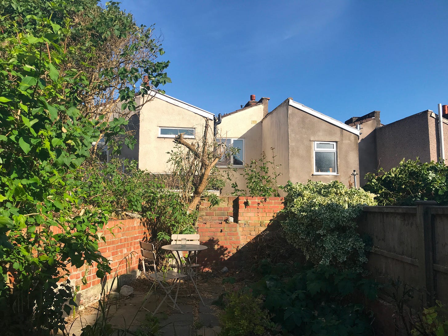 photo of trees cut own houses exposed 