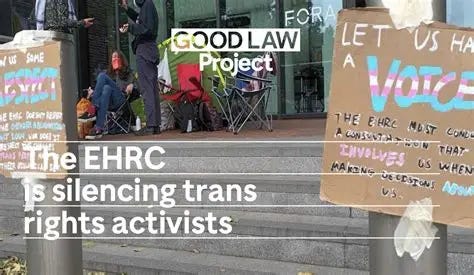 Image result for good law project ehrc guidance