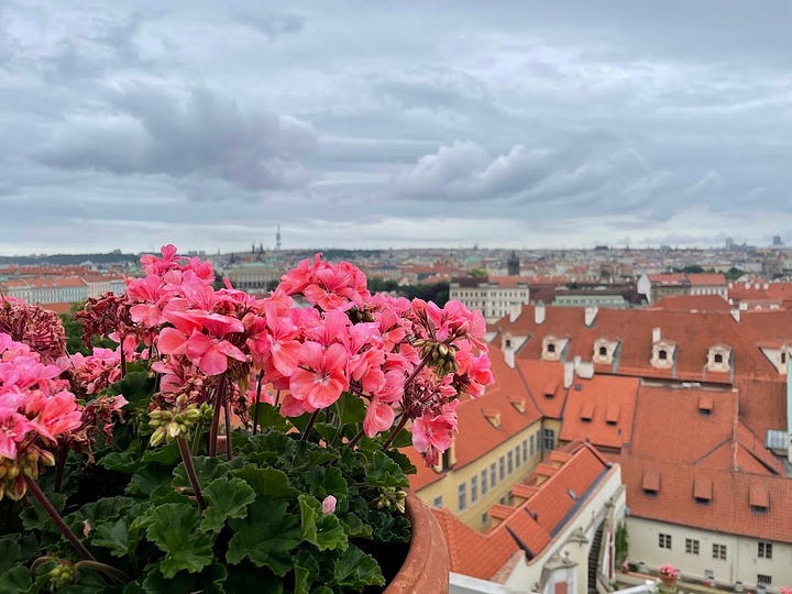 image of gardens and old buildings