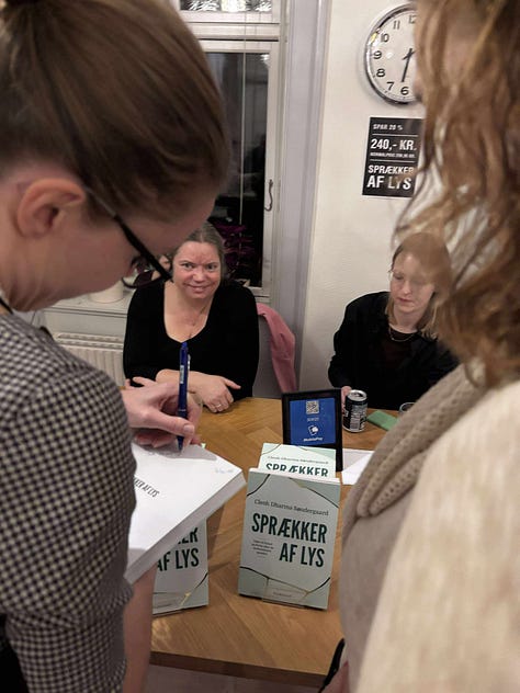 Sprækker af lys bogreception