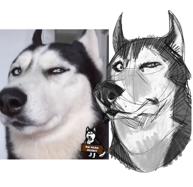 r/dogpictures - Let me sketch a funny pic of your dogs! send in the comments 