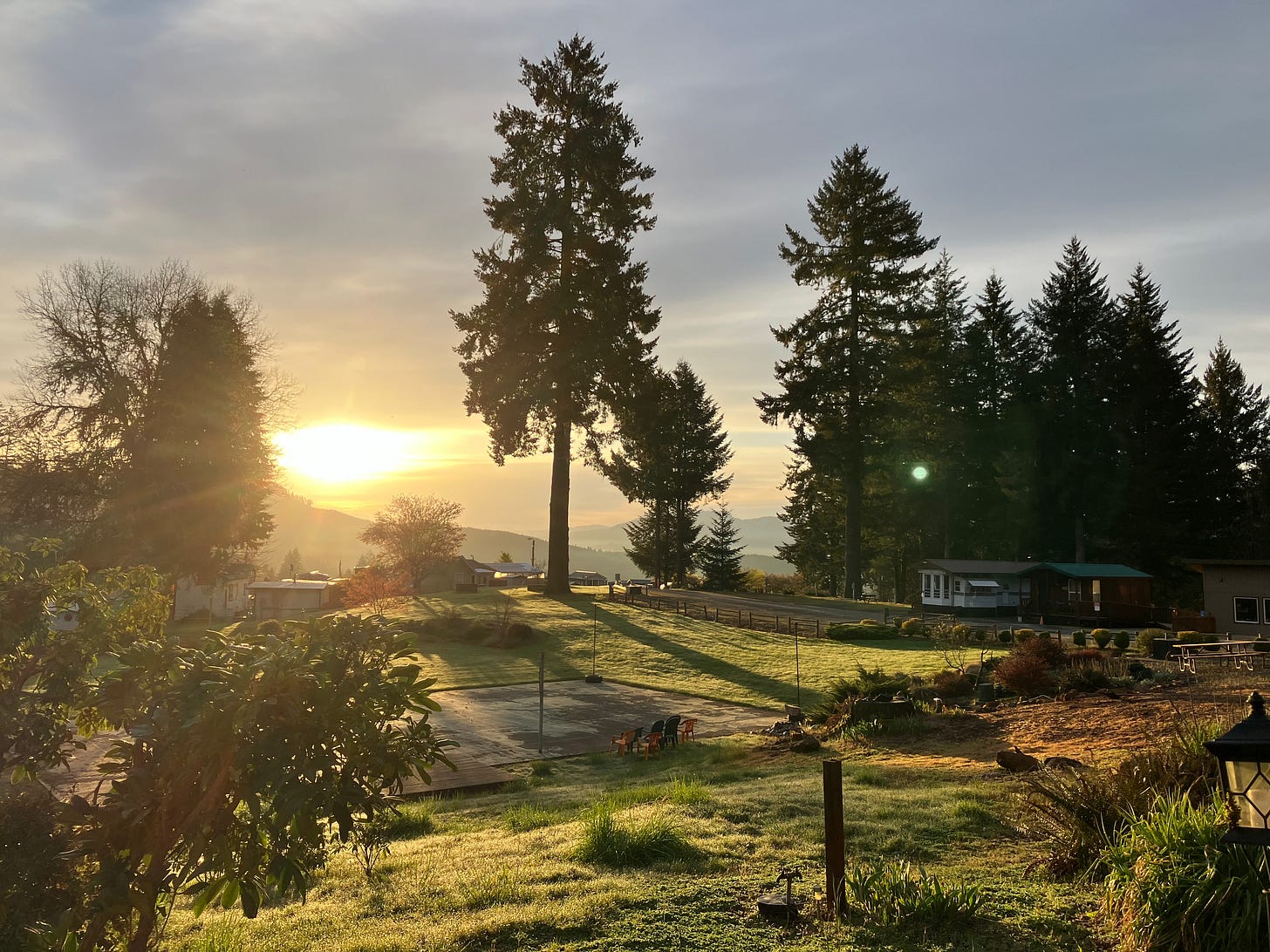 Sunrise over the grounds of The Willamettans nudist club in Springfield, Oregon. Golden morning light breaks over a forested ridgeline, casting long shadows across a dew-covered lawn. A tall Douglas fir stands at center, with club cabins visible on either side. Colorful Adirondack chairs ring a patio deck in the middle ground.