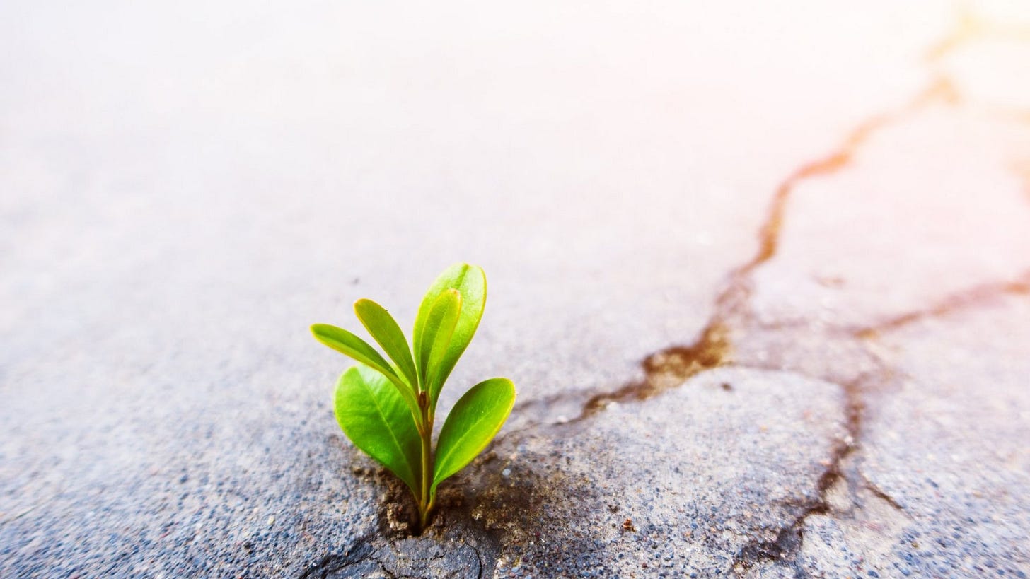 These 17 Quotes Will Inspire you to Be More Persistent | Inc.com