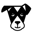The Dogist's avatar