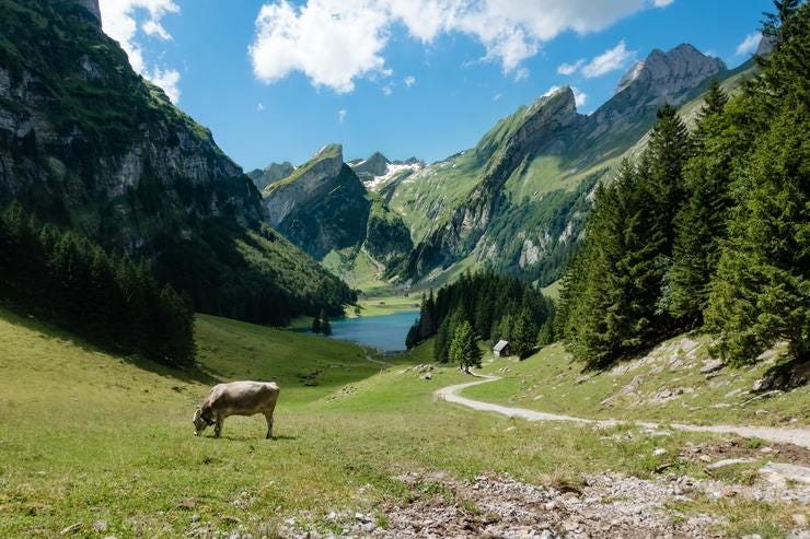 Photo by Daniel Seßler