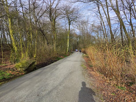 Views of a wide gravelled path, bordered by thin trees, and one of the lake