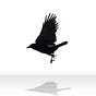 Real_BlackbirdFlyin's avatar