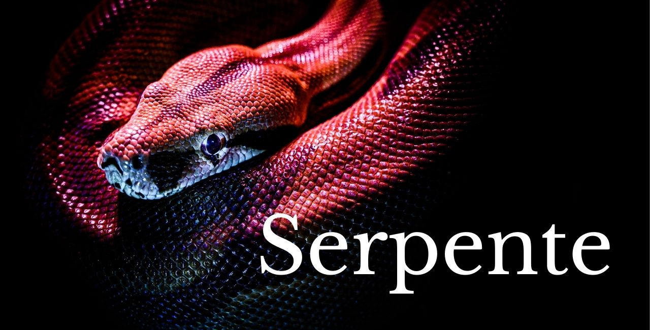 Serpente: uma poesia
