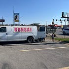 Letters to Haywood Fudd: Pen Pals and Bonsai Trees