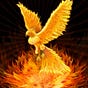 Phxrising8's avatar