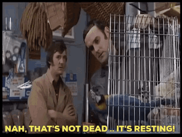 Monty Python Dead Parrot GIFs | Tenor