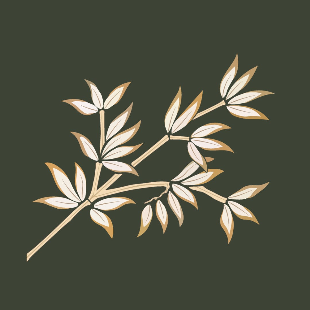 The Centre & Its Harmony