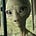 Universe Tomorrow's avatar
