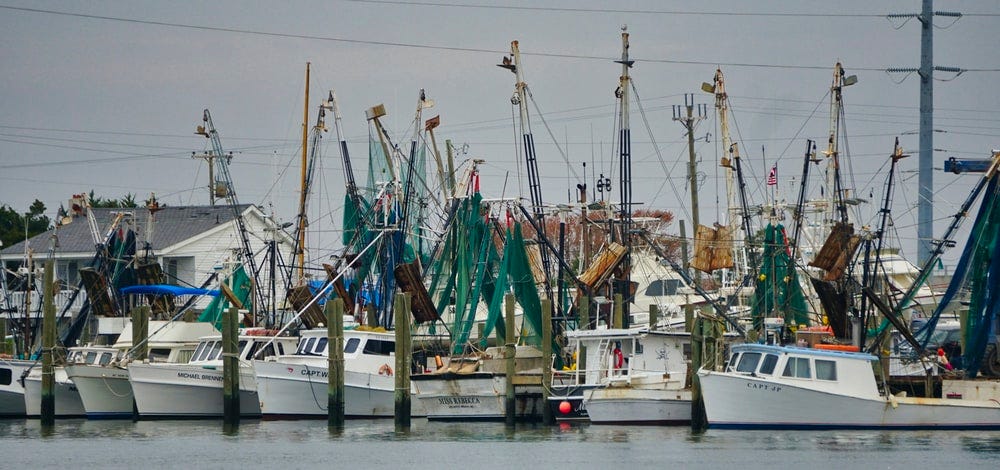 white and blue boat on dock during daytime