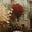 نِضال🌷's avatar