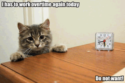 Work/Life Balance