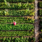 "(Small farmers) have a lot of things to say but no one is listening"