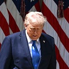 This Week in Democracy – Week 33: Trump Loses in Court. Again