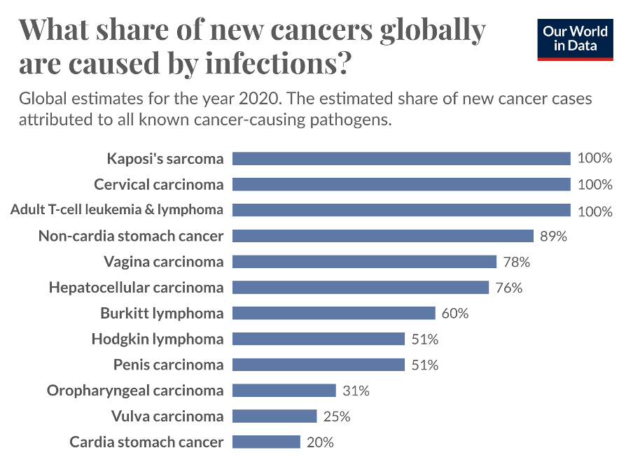 More Than a Fever: Infections and Chronic Disease