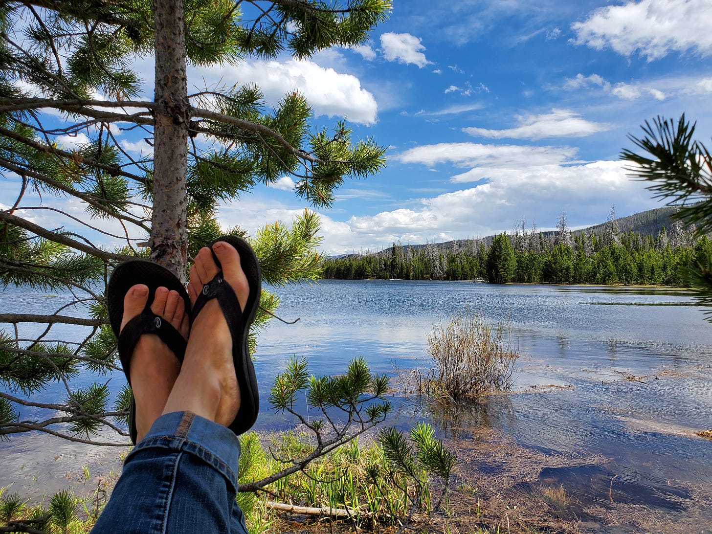 Scene of a lake, with a tree in the foreground and someone's feet resting on the tree, implying relaxing out doors.