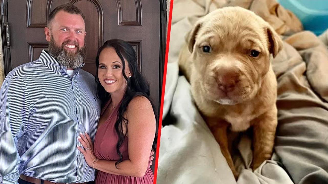 A Florida mom claims her estranged husband has been threatening to share an alleged video of her with the family dog for years.