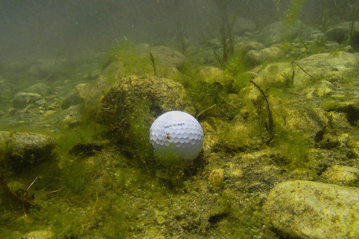 For bad (or frivolous) Michigan golfers: biodegradable golf balls - Bridge Michigan For bad (or frivolous) Michigan golfers: biodegradable golf balls - Bridge Michigan