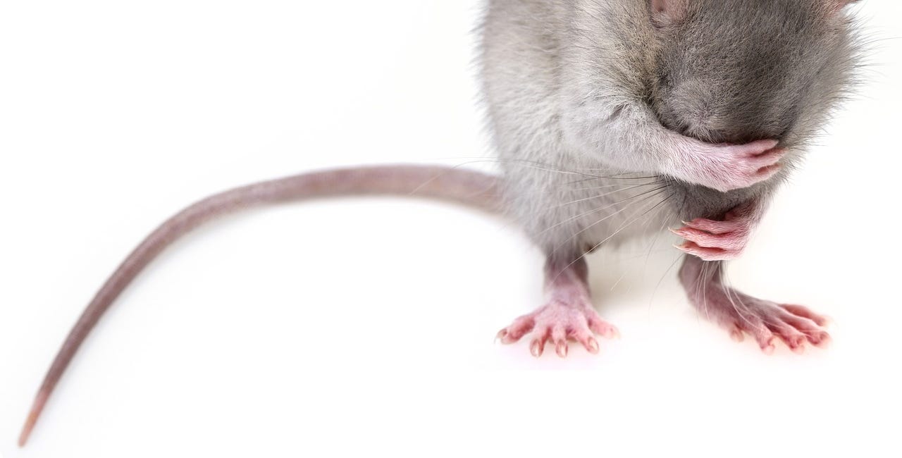 Do Billionaires Really Give a Rat's Ass about "Woke" Issues?