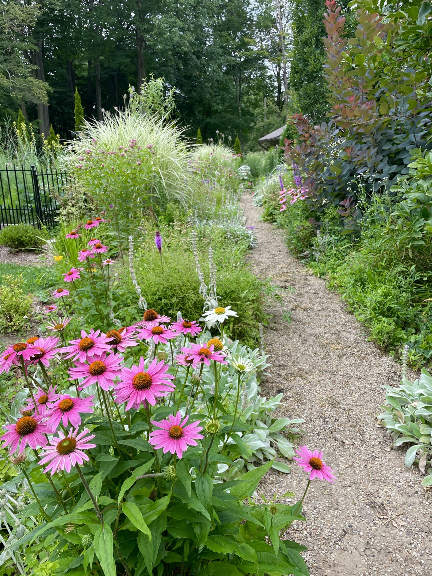The Long Border at Havenwood in July 2023