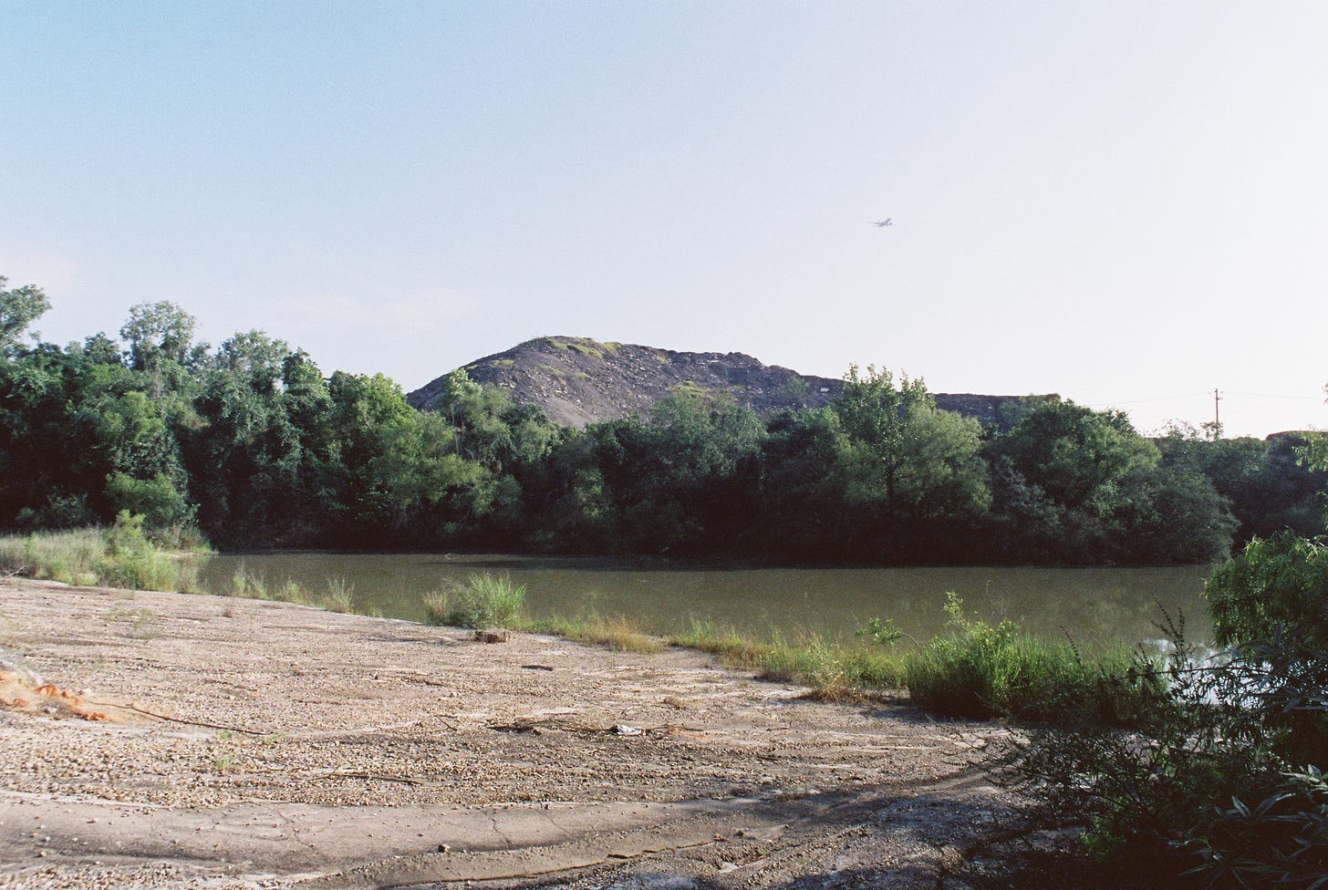 Anthropocene landscape of concrete, asphalt and plants