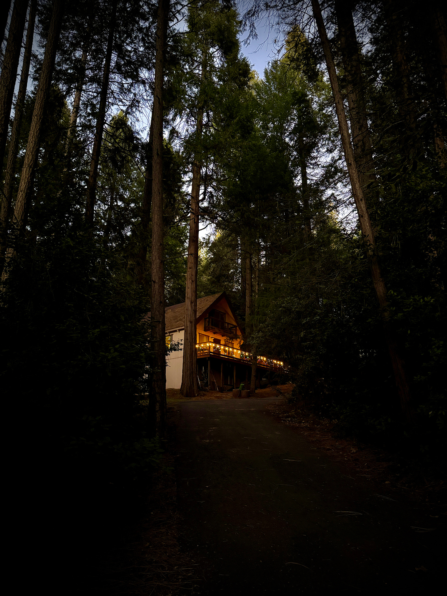 Cabin in the woods Cabin in the woods