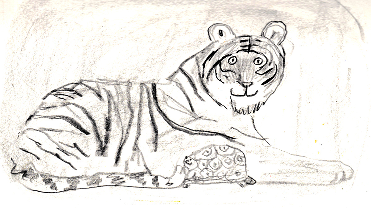 tiger and turtle sketch by Beth Spencer