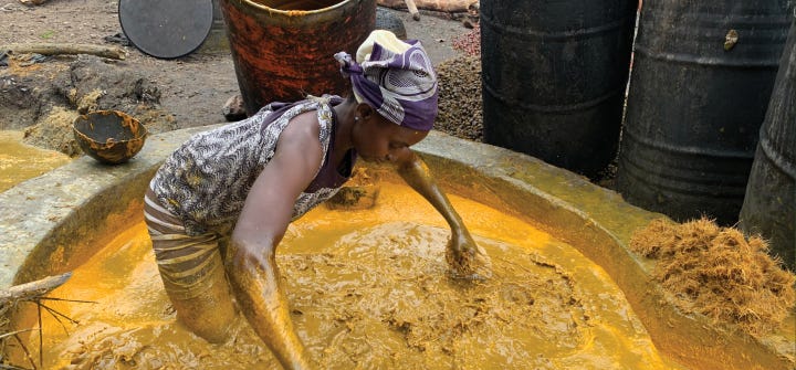 Delicious and Nutritious: The Unrealized Potential of Red Palm Oil | Global  Health NOW